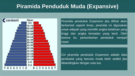piramida penduduk indonesia termasuk kelompok piramida penduduk muda sebab  Piramida ini terdiri dari dua diagram
